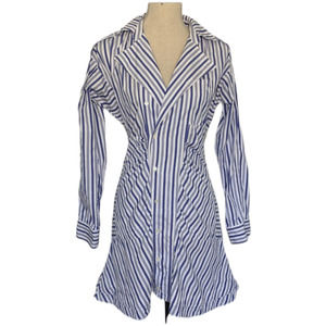 10 Crosby Derek Lam Blue and White Striped Dress
